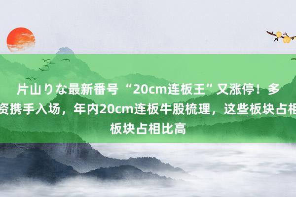 片山りな最新番号 “20cm连板王”又涨停！多路游资携手入场，年内20cm连板牛股梳理，这些板块占相比高