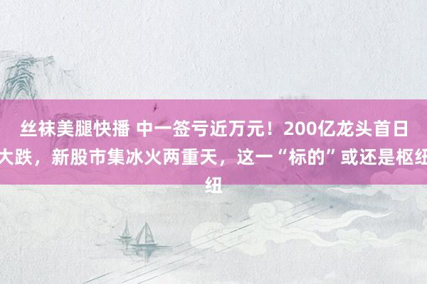 丝袜美腿快播 中一签亏近万元！200亿龙头首日大跌，新股市集冰火两重天，这一“标的”或还是枢纽