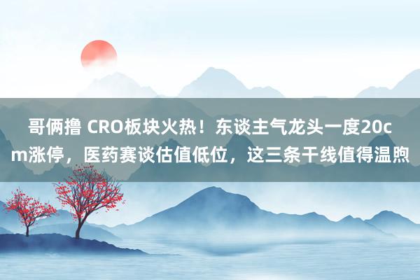 哥俩撸 CRO板块火热！东谈主气龙头一度20cm涨停，医药赛谈估值低位，这三条干线值得温煦