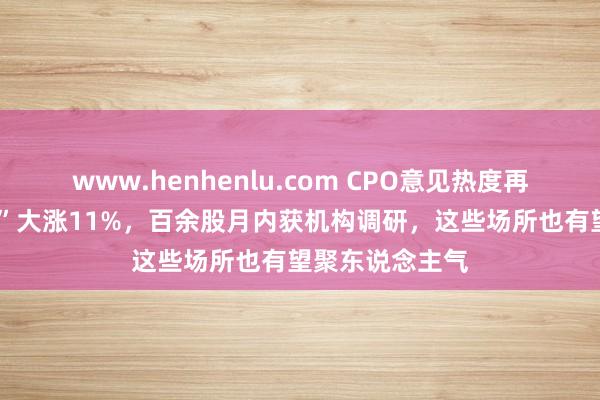 www.henhenlu.com CPO意见热度再起！“前5倍牛”大涨11%，百余股月内获机构调研，这些场所也有望聚东说念主气