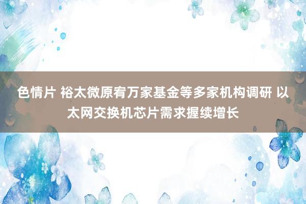 色情片 裕太微原宥万家基金等多家机构调研 以太网交换机芯片需求握续增长