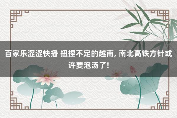 百家乐涩涩快播 扭捏不定的越南, 南北高铁方针或许要泡汤了!