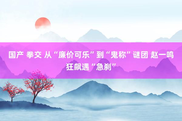 国产 拳交 从“廉价可乐”到“鬼称”谜团 赵一鸣狂飙遇“急刹”