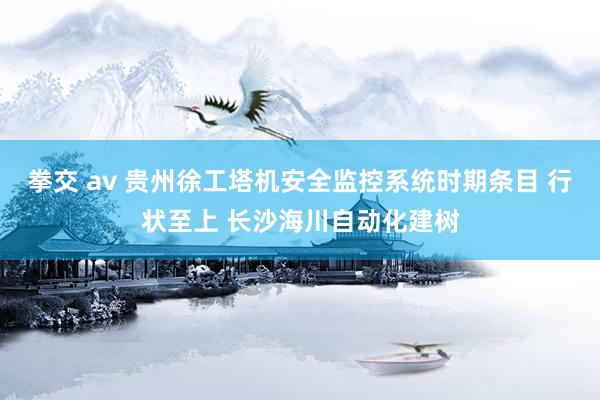 拳交 av 贵州徐工塔机安全监控系统时期条目 行状至上 长沙海川自动化建树