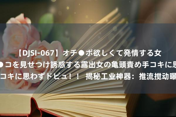 【DJSI-067】オチ●ポ欲しくて発情する女たち ところ構わずオマ●コを見せつけ誘惑する露出女の亀頭責め手コキに思わずドピュ！！ 揭秘工业神器：推流搅动曝气机的奥妙与功能