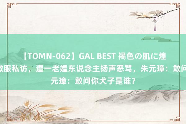 【TOMN-062】GAL BEST 褐色の肌に煌く汗 朱元璋微服私访，遭一老媪东说念主扬声恶骂，朱元璋：敢问你犬子是谁？