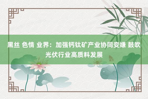 黑丝 色情 业界：加强钙钛矿产业协同变嫌 鼓吹光伏行业高质料发展