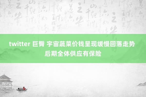 twitter 巨臀 宇宙蔬菜价钱呈现缓慢回落走势 后期全体供应有保险