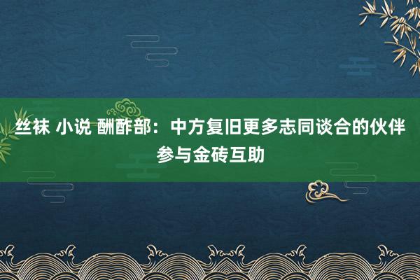 丝袜 小说 酬酢部：中方复旧更多志同谈合的伙伴参与金砖互助