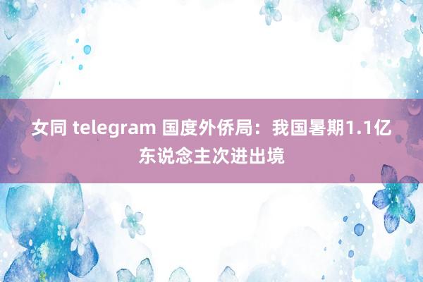 女同 telegram 国度外侨局：我国暑期1.1亿东说念主次进出境