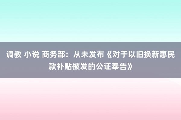 调教 小说 商务部：从未发布《对于以旧换新惠民款补贴披发的公证奉告》