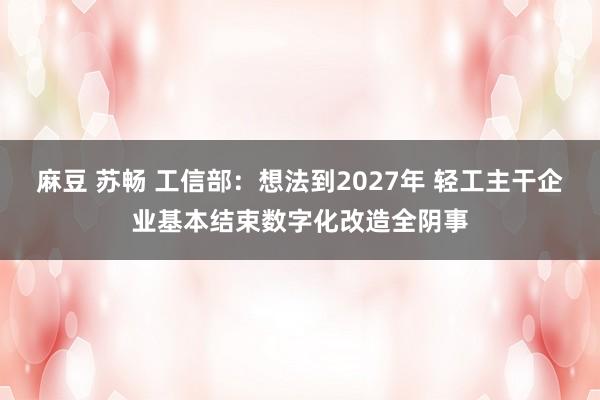 麻豆 苏畅 工信部：想法到2027年 轻工主干企业基本结束数字化改造全阴事