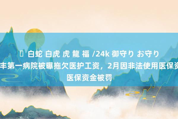 ✨白蛇 白虎 虎 龍 福 /24k 御守り お守り 河南清丰第一病院被曝拖欠医护工资，2月因非法使用医保资金被罚