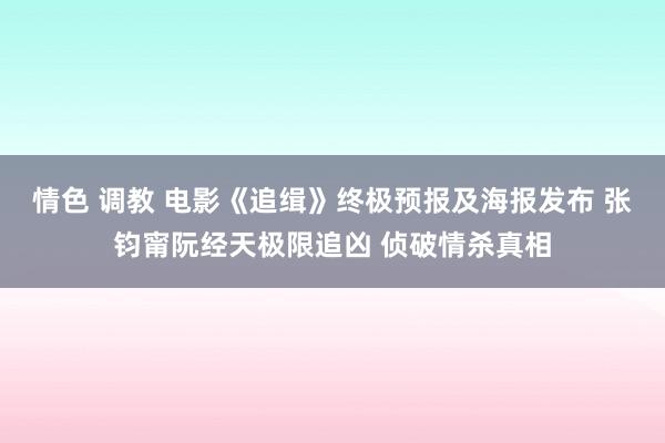 情色 调教 电影《追缉》终极预报及海报发布 张钧甯阮经天极限追凶 侦破情杀真相