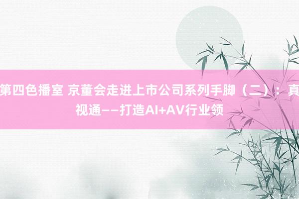 第四色播室 京董会走进上市公司系列手脚（二）：真视通——打造AI+AV行业领